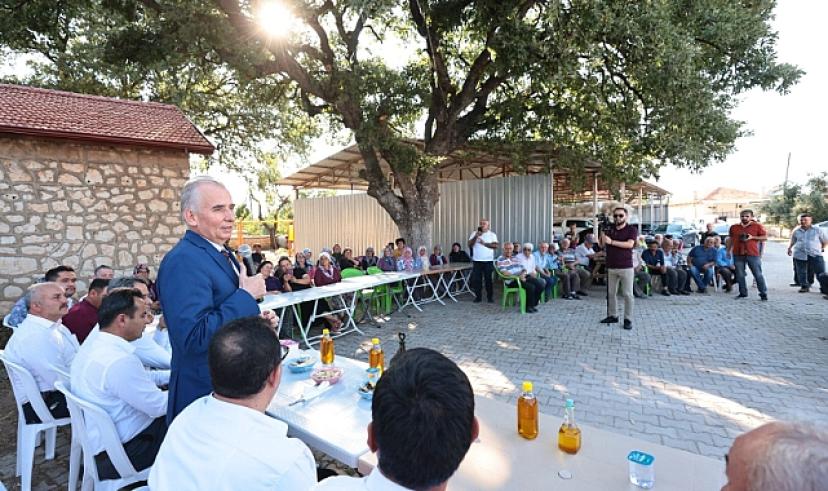 Büyükşehir’den zeytin üreticilerine destek 