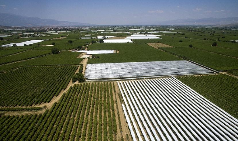 Manisa'ya sulama ile gelen bereket 