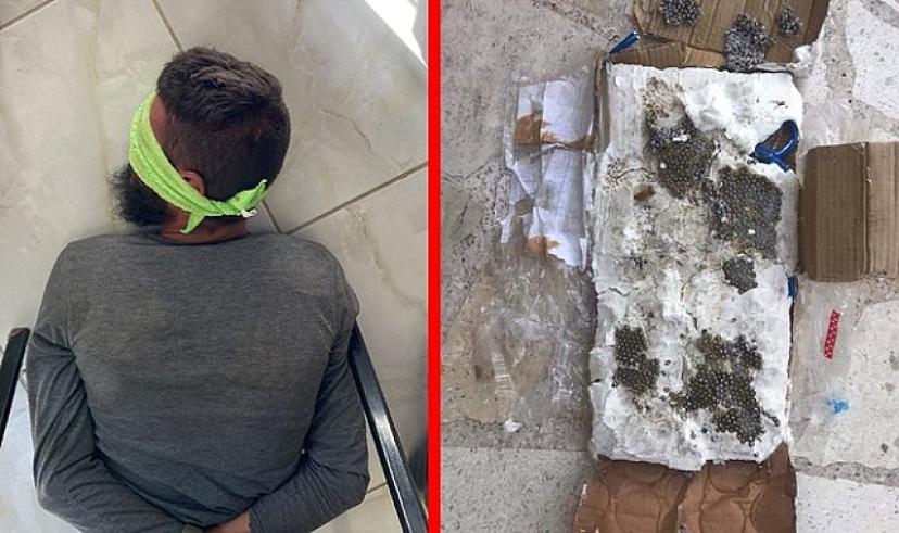 Bakan Soylu duyurdu: PKK/PYD'nin Cerablus'ta gerçekleştireceği bombalı saldırı engellendi