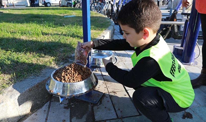 Besleme noktalarına mama bıraktılar