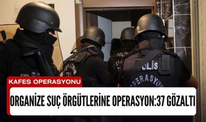 Organize suç örgütlerine "Kafes" operasyonu: 37 gözaltı