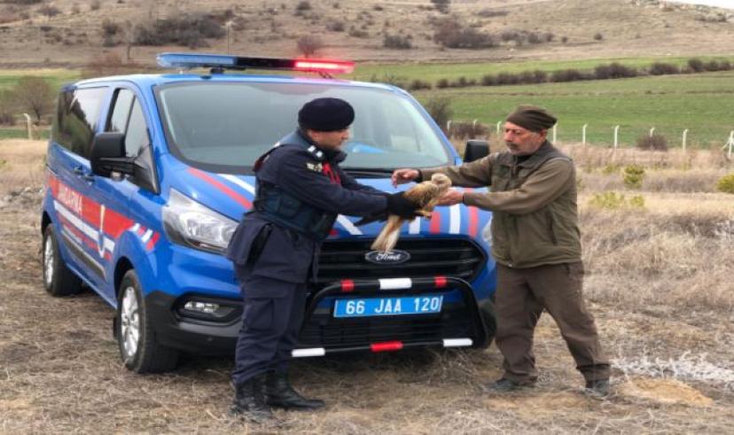 Jandarma Yozgat doğasına sahip çıkıyor