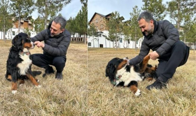 Ankara Kent Konseyi’nden ‘can dostlarımız’ için iş birliği çağrısı