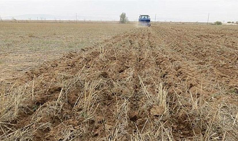 Ardahan’da tarım ve hayvancılık sezonu başladı