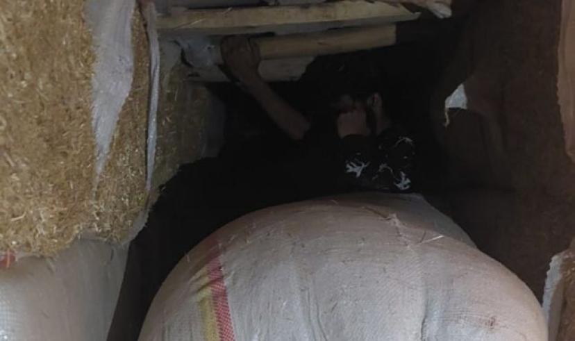 Artvin’de polis 15 düzensiz göçmeni yakaladı