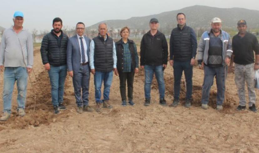 Ziraat fakültesinden kiraz üreticisine yönelik bir yenilik daha