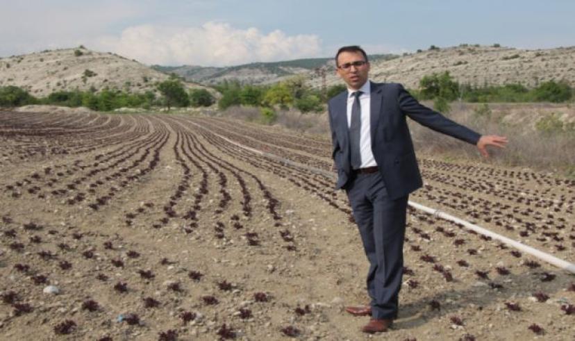 Kaymakam Vedat Yılmaz,1 Mayıs İşçi Bayramı dolaysıyla, tarım işçilerini ziyaret etti