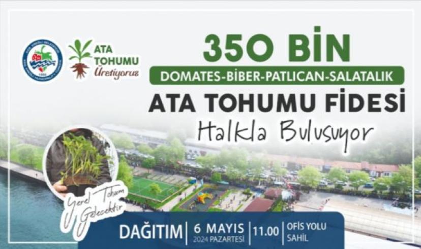 Kdz. Ereğli Belediyesi, 350 Bin Ata tohumu fidesi dağıtacak