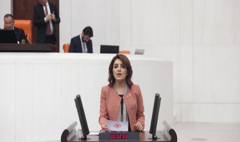 Mersin Milletvekili Kış, Otizmli Çocukların ve Ailelerinin Sesi Oldu