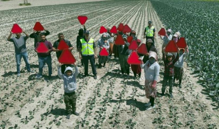Tarlada kırmızı ışıklı reflektörler çiçek açtı