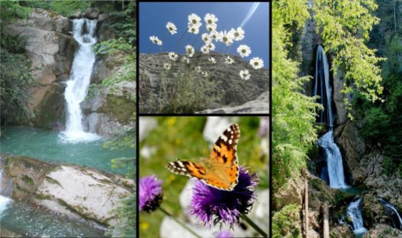 Tunceli İlçesinde bir kanyonda 40 takım şelale