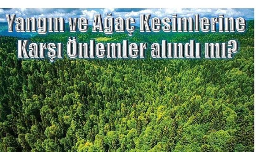 Ardahanlılar orman yangınlarına karşı önlem bekliyor