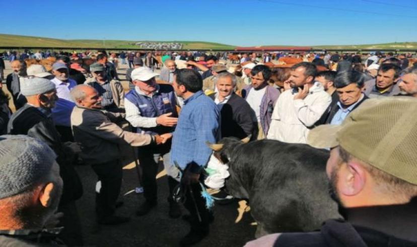 Bayburt’ta Kurban Bayramı heyecanı