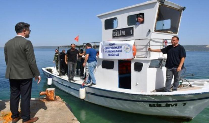 ÇOMÜ tarafından yetiştirilen ıstakoz yavruları denizle kavuştu