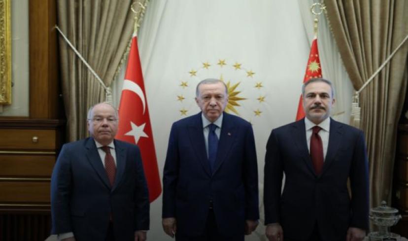Cumhurbaşkanı Erdoğan, Brezilya Dışişleri Bakanı Vieira'yı kabul etti