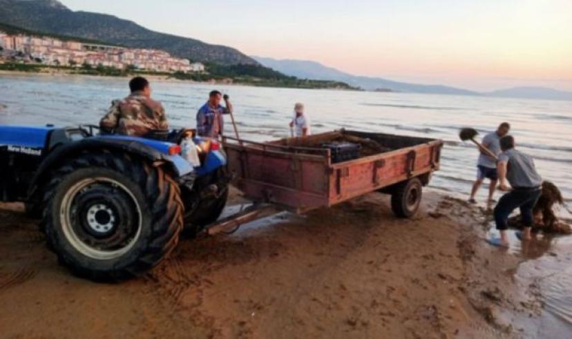 Eğirdir Altınkum Plaj’ında kıyı temizliği yapıldı