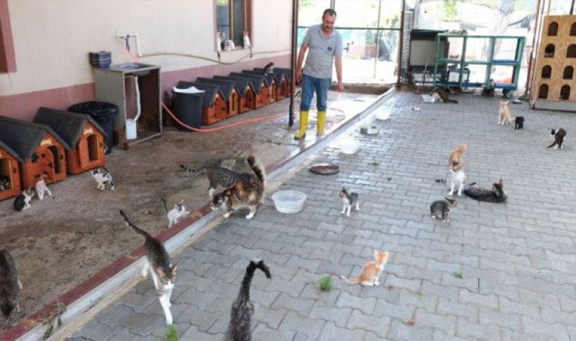 Kemer Belediyesi’nden can dostlara yardım eli
