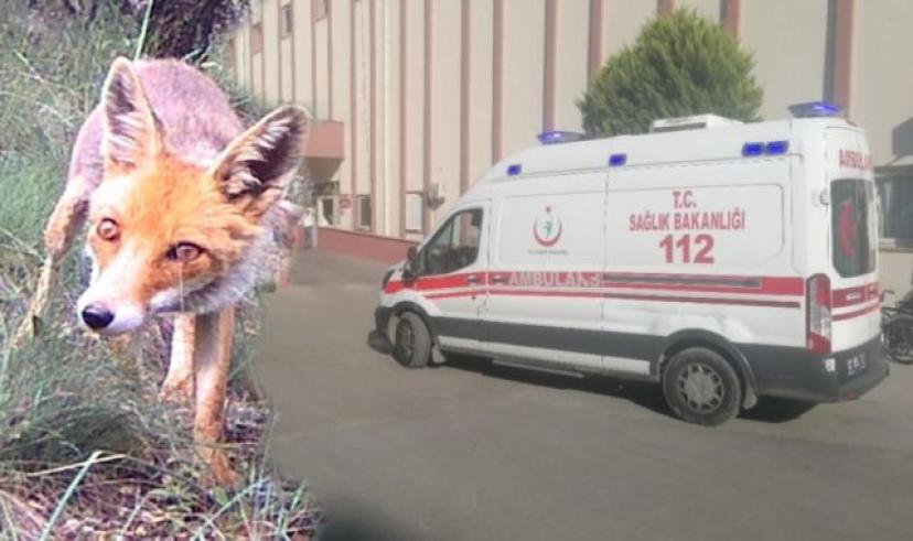 Manavgat’ta ava giden yaşlı adam tilki yerine kendini vurdu