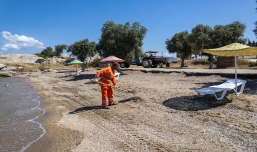 Milas Belediyesi sahillerdeki çalışmalarını tamamladı