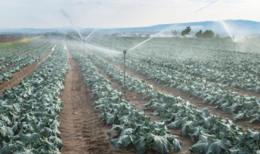 Muğla’da 140 bin dekar alan su ile buluştu