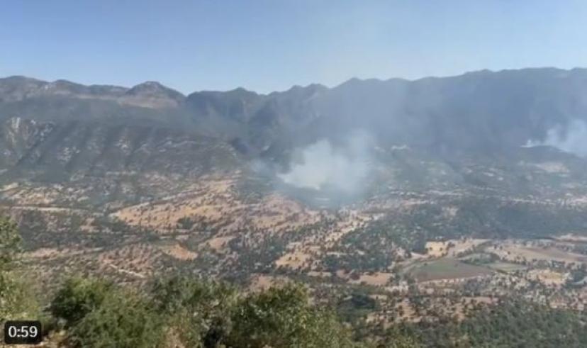 PKK’lı teröristler Türk askerinden gizlenmek için orman yakmaya başladı