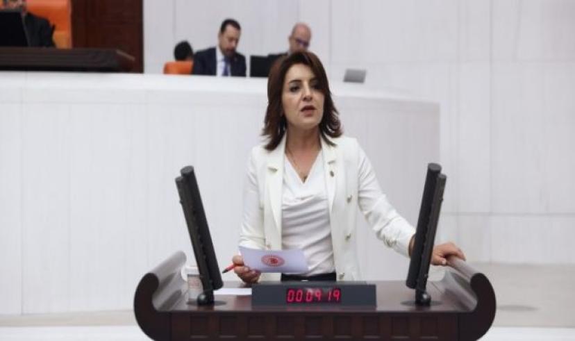 SMA’lı çocuklar için TBMM’den çağrı