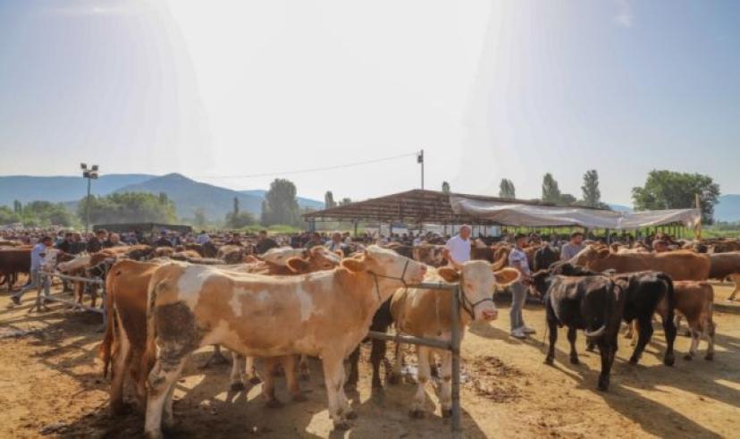 Turhal Belediye Başkanı Ural’dan Kurban Pazarına ziyaret