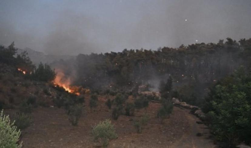 Antalya’daki orman yangını kısmen kontrol altına alındı