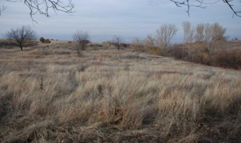 Kırıkkale’nin Saklı Hazinesi: Bağlık Höyük