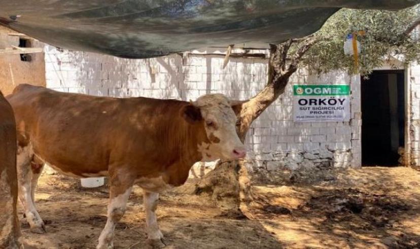 Muğla Orman Köylüsüne Destekler Sürüyor