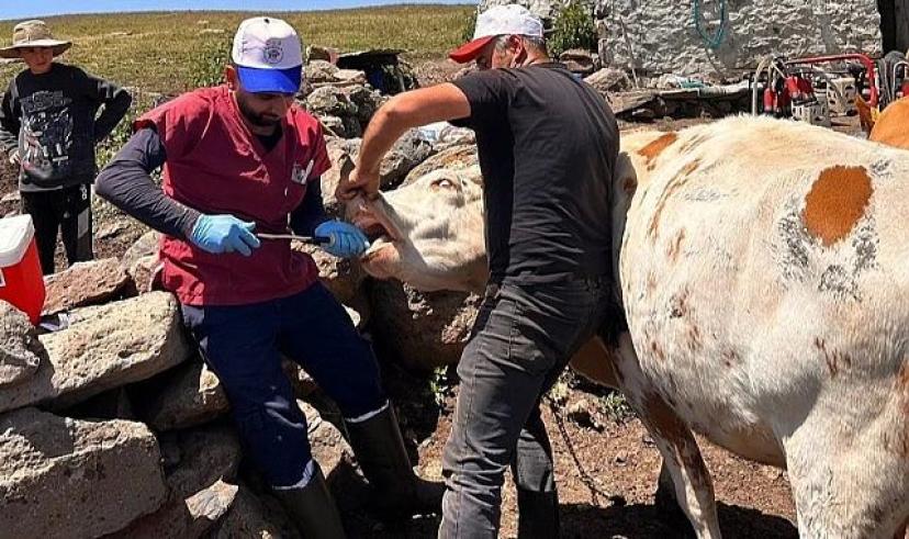 Tarım Müdürlüğü ekipleri sahaya indi