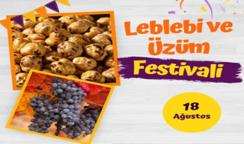 Güdül’de leblebi ve üzüm festivali düzenlenecek