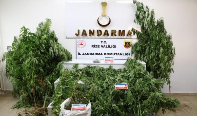 Rize İl Jandarma Komutanlığı madde bağımlılara göz açtırmıyor