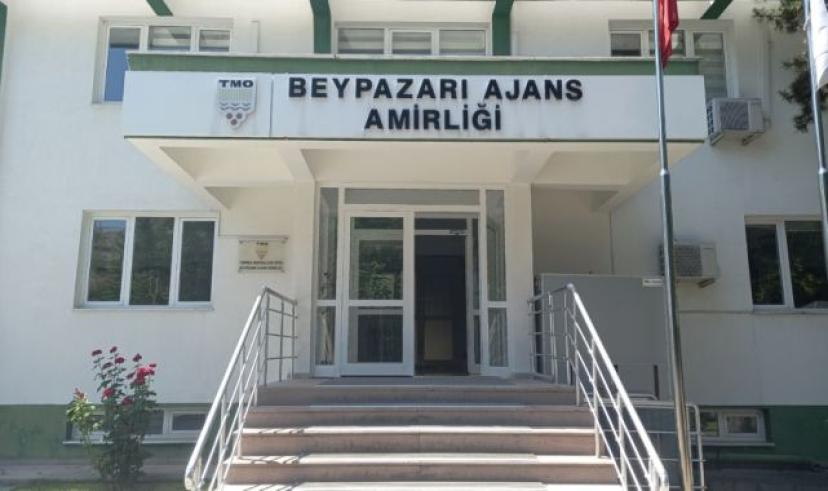 TMO Beypazarı Ajans Müdürlüğü bu yıl 33 bin ton hububat alımı yaptı