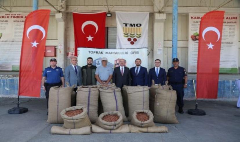 TMO İlk fındık alımını 136 TL üzerinden gerçekleştirdi