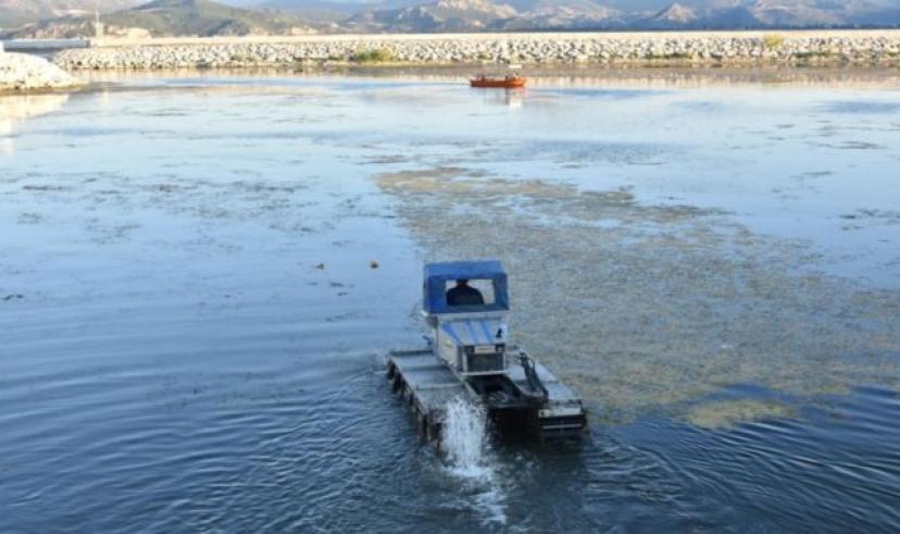 Eğirdir Gölü’nde temizlik çalışmaları tüm hızıyla devam ediyor!