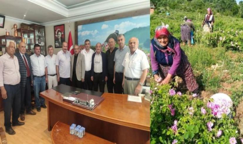 Gülçiçeği kilogram fiyatı belli oldu