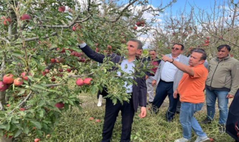 Isparta’da dolu zararı tespit çalışmaları sürüyor