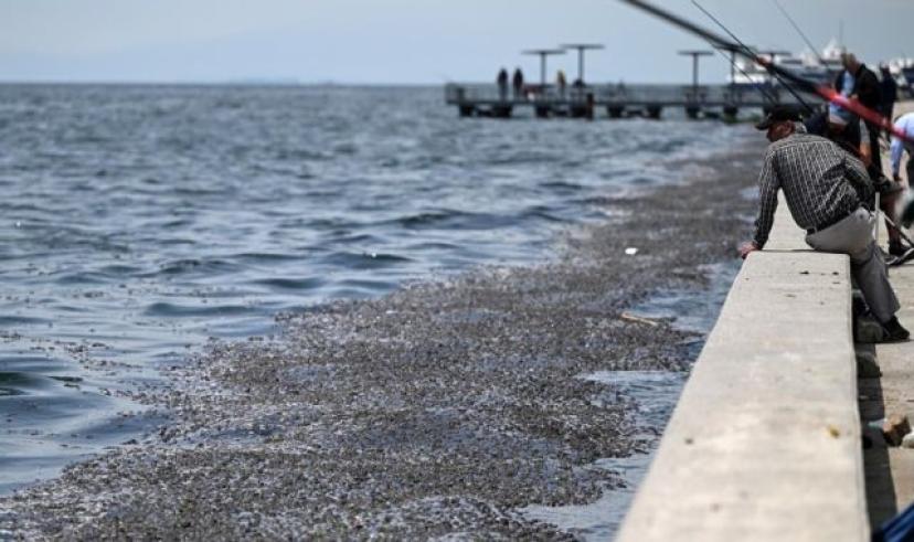 İzmir Körfezi’ndeki kirliliğe ceza: 1,8 milyon