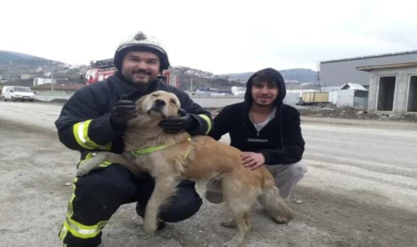 Tokat’ta yangından kurtarılan köpek minnetini böyle gösterdi