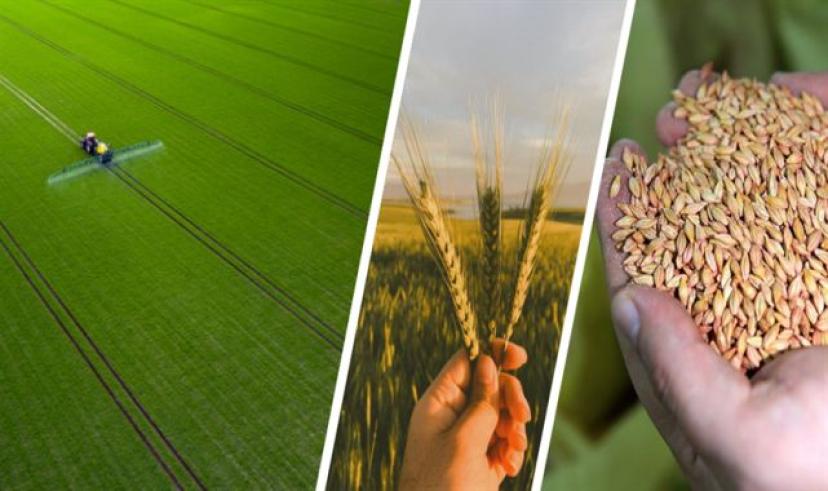 98,6 milyon TL destek ödemesi çiftçilerin hesaplarına aktarılıyor