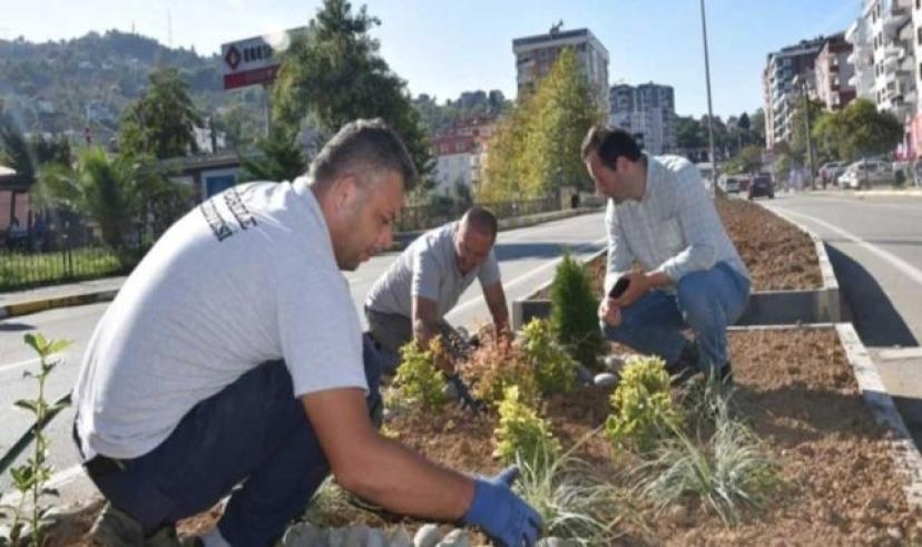 Giresun Görele Belediyesi peyzaj çalışmaları göz kamaştırıyor