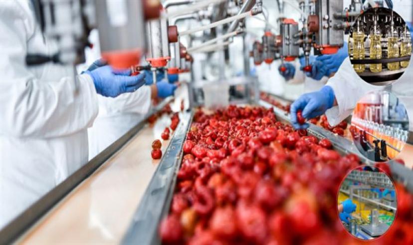 IPARD III kapsamında, 38 projeye, 397 milyon lira hibe desteği verilecek