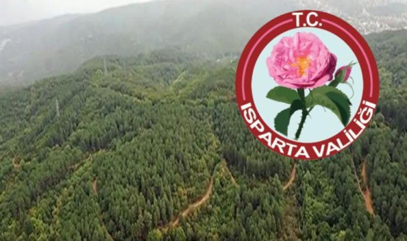 Isparta Valiliğinden ağaç katliamı haberleri üzerine açıklama