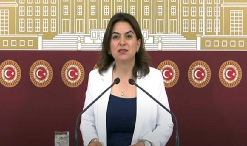 Kars Milletvekili Gülüstan Kılıç Koçyiğit, Kars’ın sağlık sorunlarını TBMM’ye yaşıdı