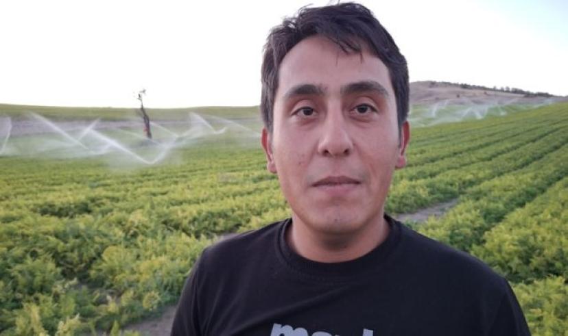 Kışlık havuç kazımı devam ediyor