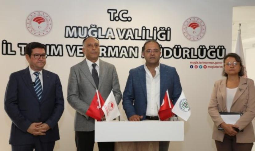 Muğla Büyükşehir Belediyesi 10 bin aşı ile hayvancılığa destek oluyor