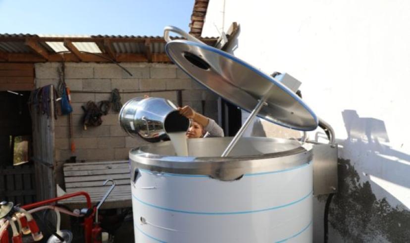 Ordu’dan süt üreticisine destek