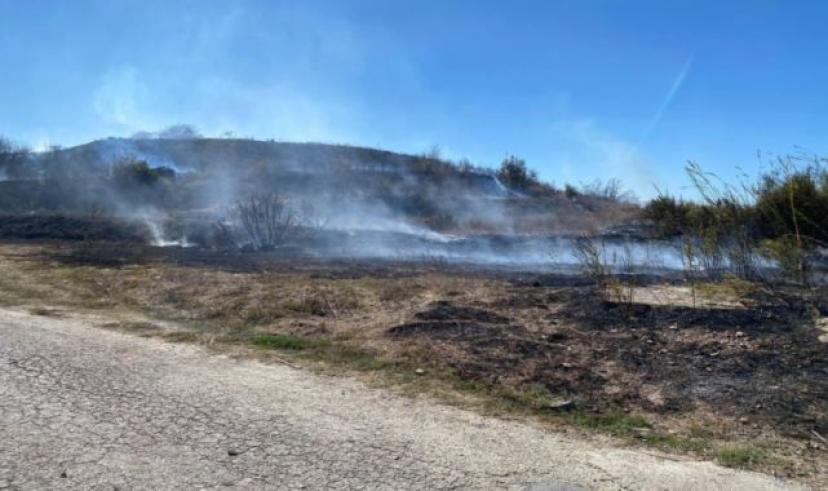 Parkta çıkan yangın makilik alana sıçradı