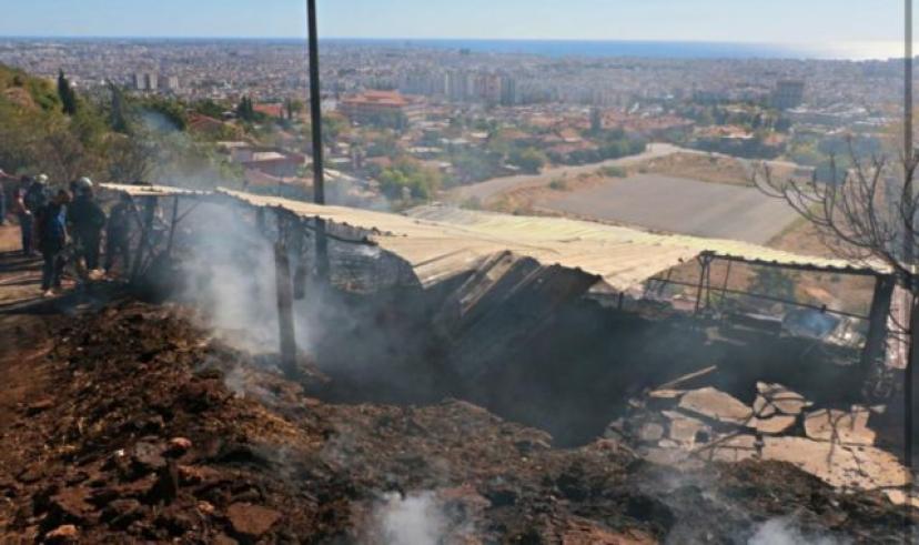 Yangında 50 hayvanı telef olan kadın gözyaşlarına boğuldu
